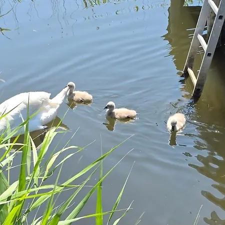 2 Raumwohnung Mit Sonniger Terrasse Und Seeblick Apartment *