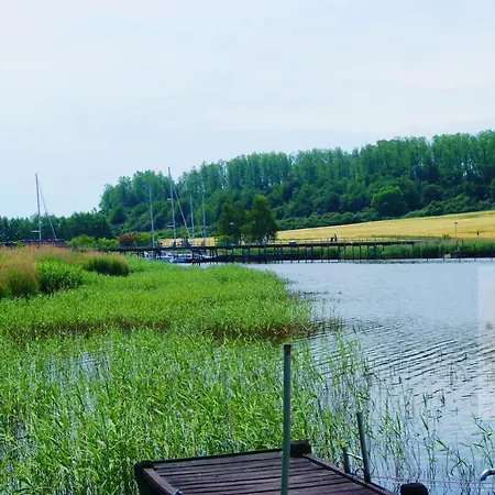 2 Raumwohnung Mit Sonniger Terrasse Und Seeblick Apartment